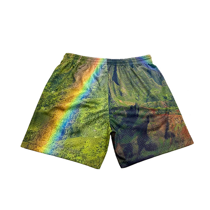 Ascendnt Rainbow State Shorts