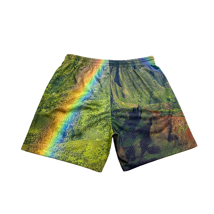 Ascendnt Rainbow State Shorts