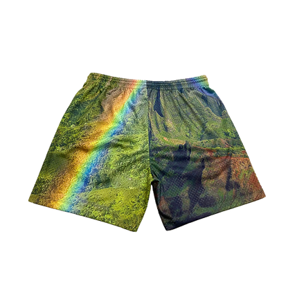 Ascendnt Rainbow State Shorts