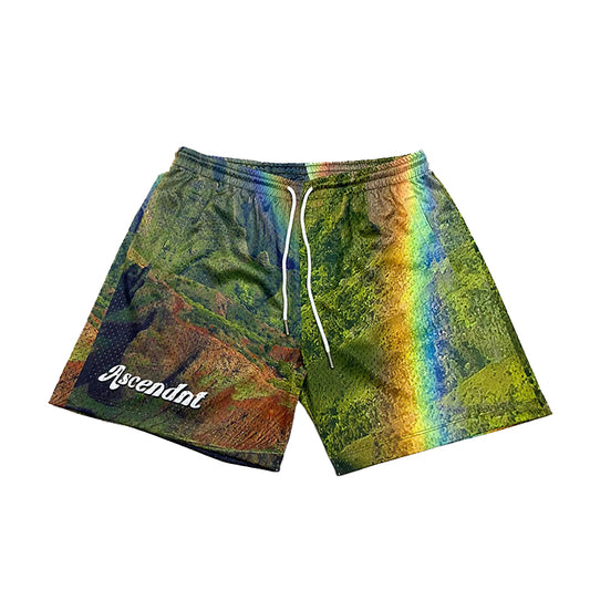 Ascendnt Rainbow State Shorts