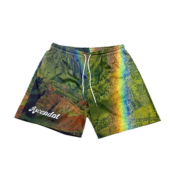 Ascendnt Rainbow State Shorts
