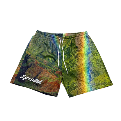 Ascendnt Rainbow State Shorts