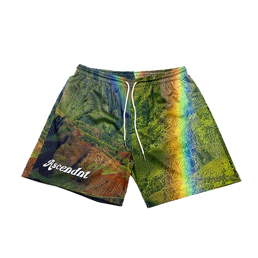 Ascendnt Rainbow State Shorts